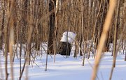 Ирек Ялалов предупредил коммунальщиков Уфы о заключительных «снеговых ударах» 