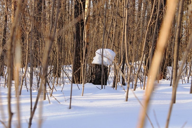 Ирек Ялалов предупредил коммунальщиков Уфы о заключительных «снеговых ударах» 