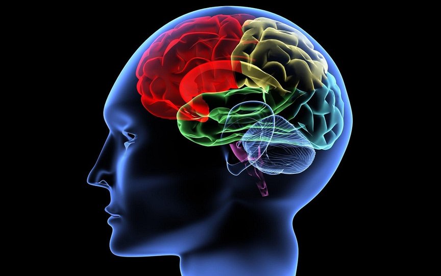 Мозговой имплант Layer 7 позволит набирать текст силой мысли