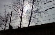 В Башкирии комиссия отказала в помиловании восьми заключённым