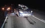 В Башкирии автомобиль врезался в лошадь: один человек погиб, трое пострадали