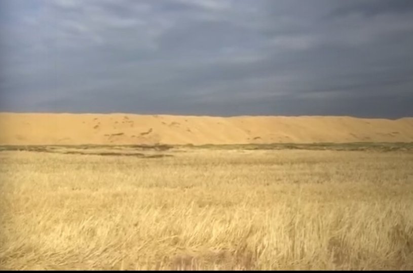 В Минсельхозе Башкирии объяснили, почему собранное зерно хранят прямо на поле