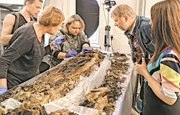 Ученые намерены изучить рацион питания древних людей при помощи мумий