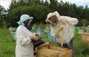 Пчеловоды из Мишкинского района получили грант и вышли на экспорт