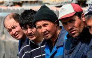 В Башкирии директора пилорамы наказали за трудоустройство граждан Китая